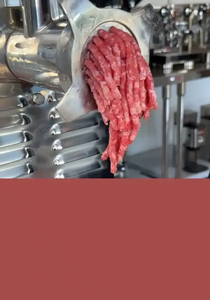 Guía Completa sobre Picadoras de Carne