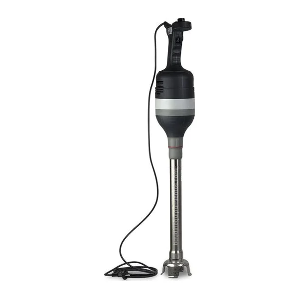 MIXER PROFESIONAL RHENINGHAUS Mistral L Vastago 35 cm 750 w principal